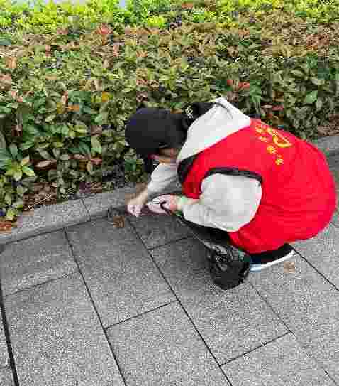 XjVi_1732696495368038445.jpg 图片2(1).jpg