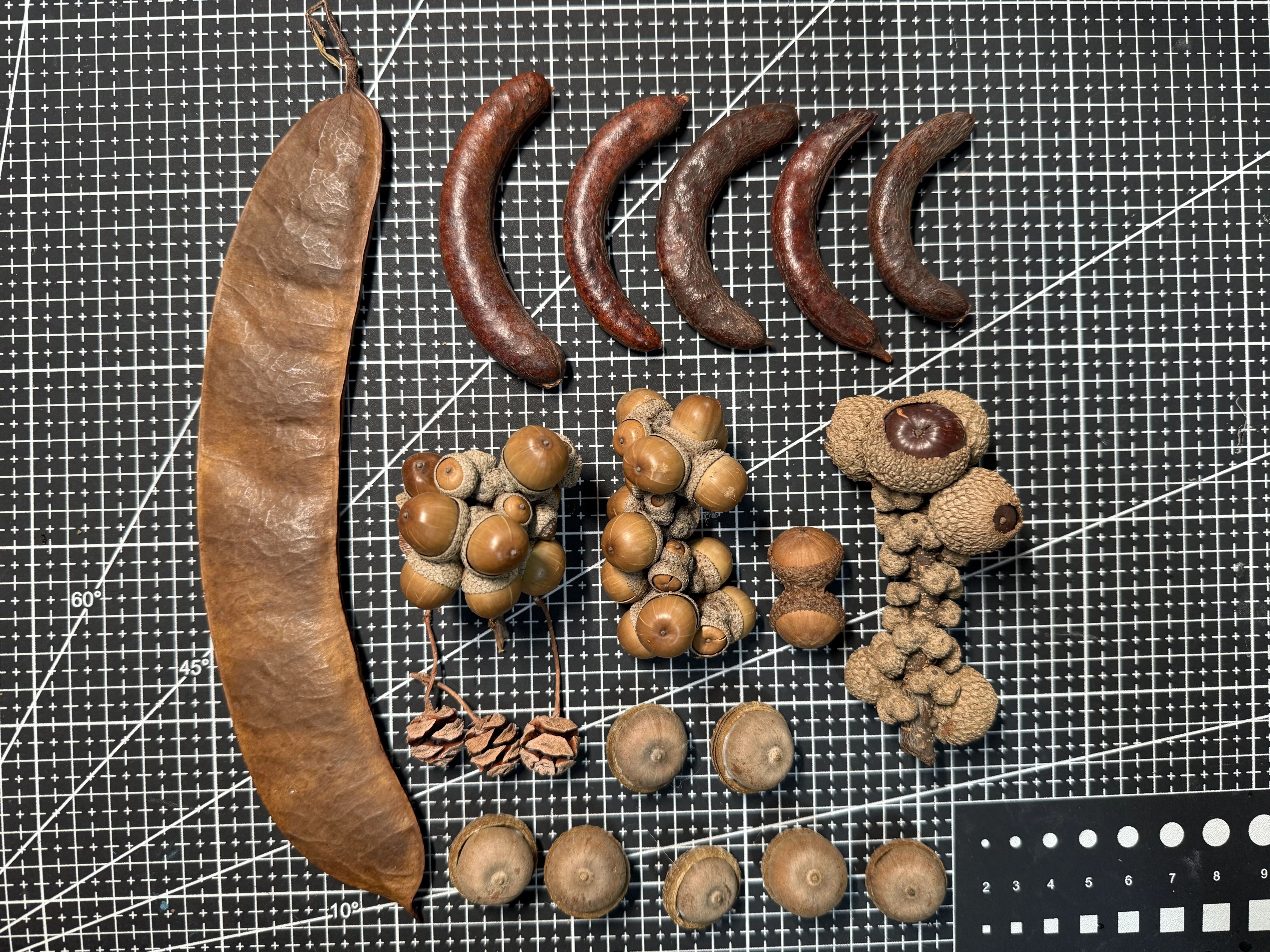 cbae6f3aaeb9a5ac26599cbeeb7c2c4f.jpg