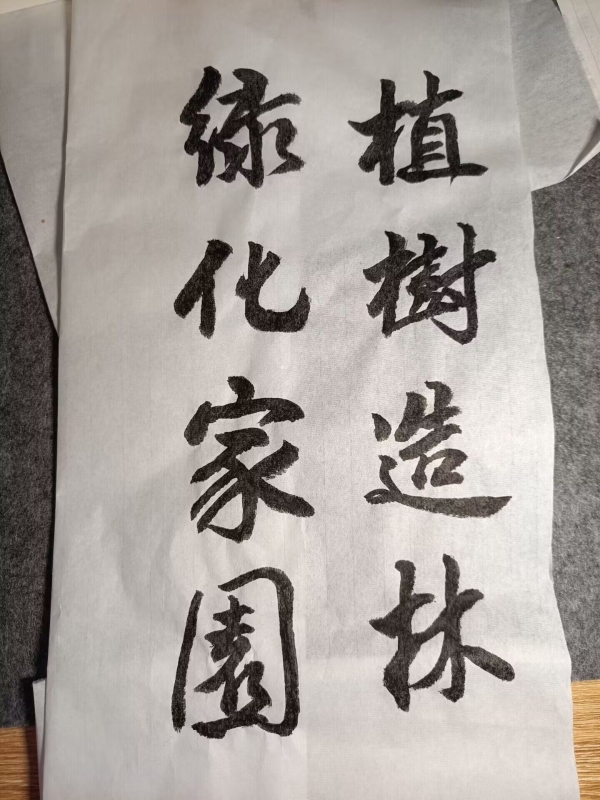 cbnI_1742380291724055400.jpg