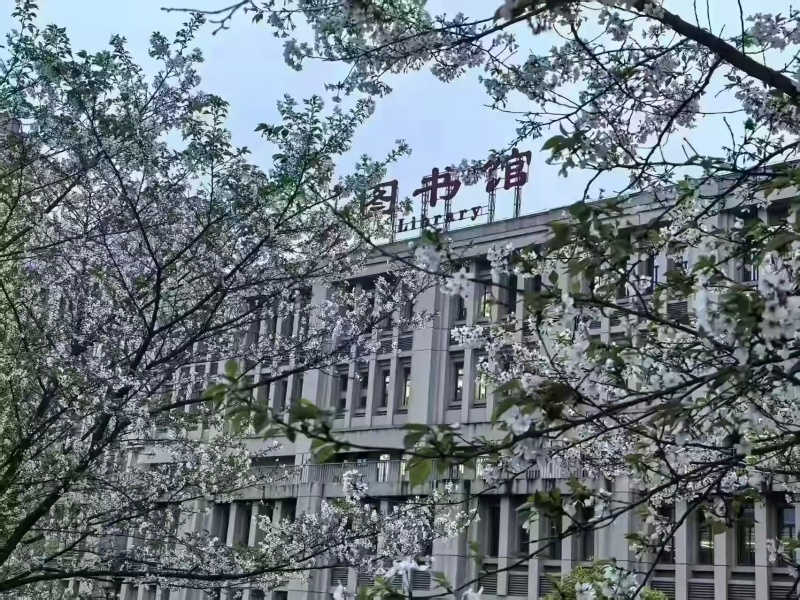 QvGe_1780401281622056408.jpg