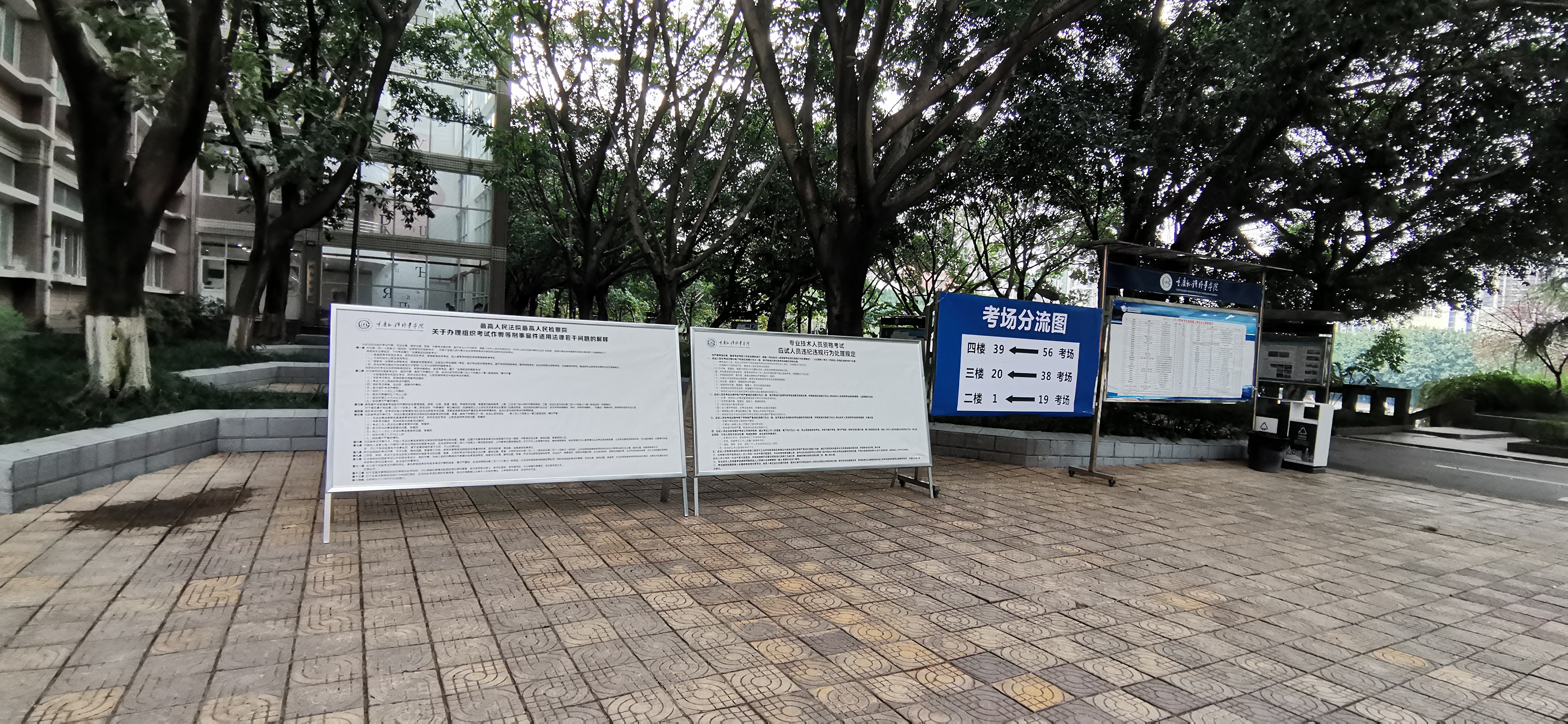 iElO_1667016739535055817.jpg