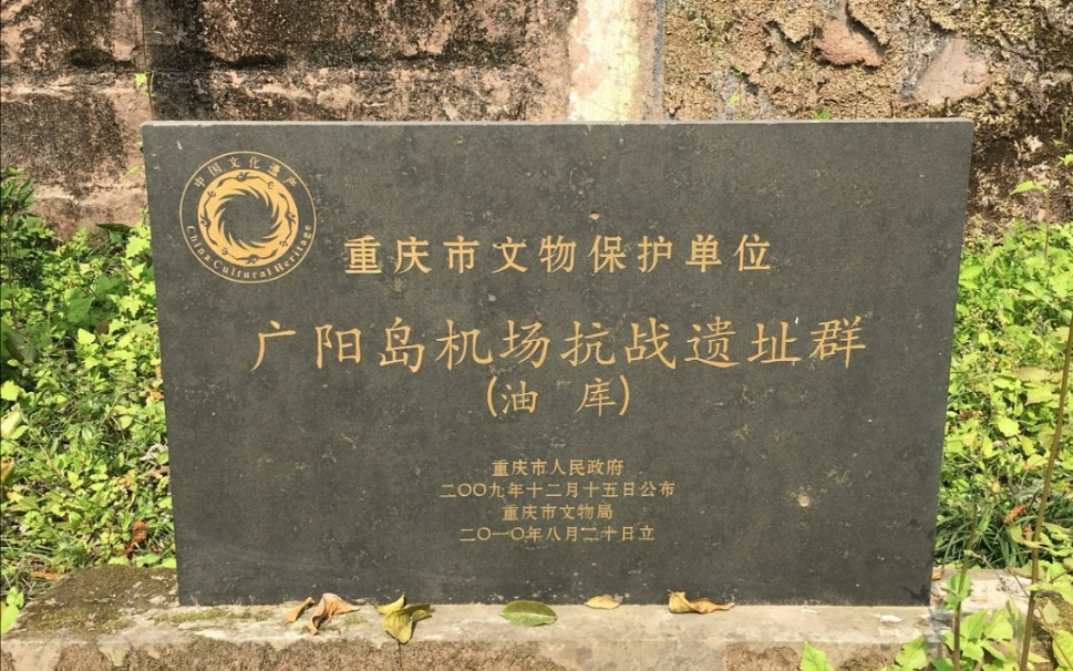 b4207ddf1d4542cdfcbe7c5abd1f971d.png