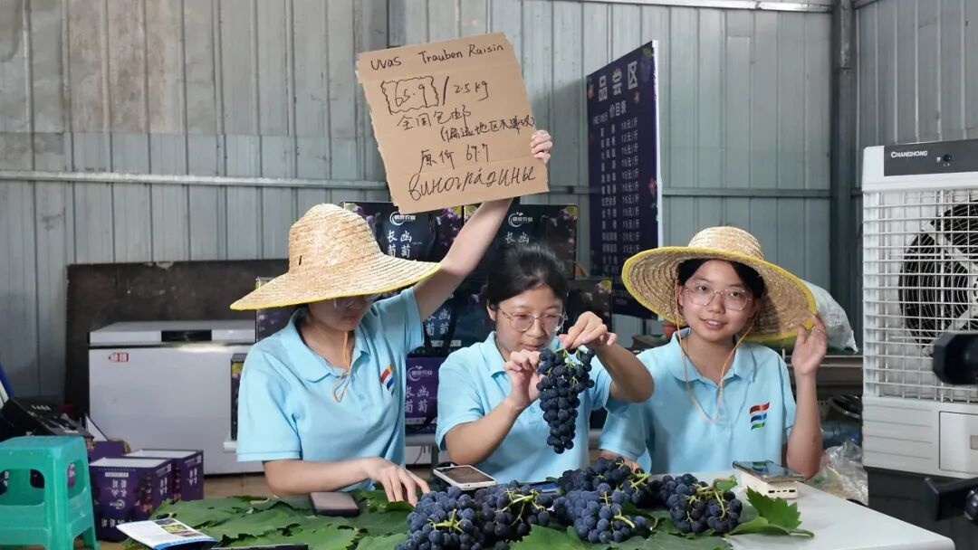 wyrW_1789466411186017987.png 图片3.png