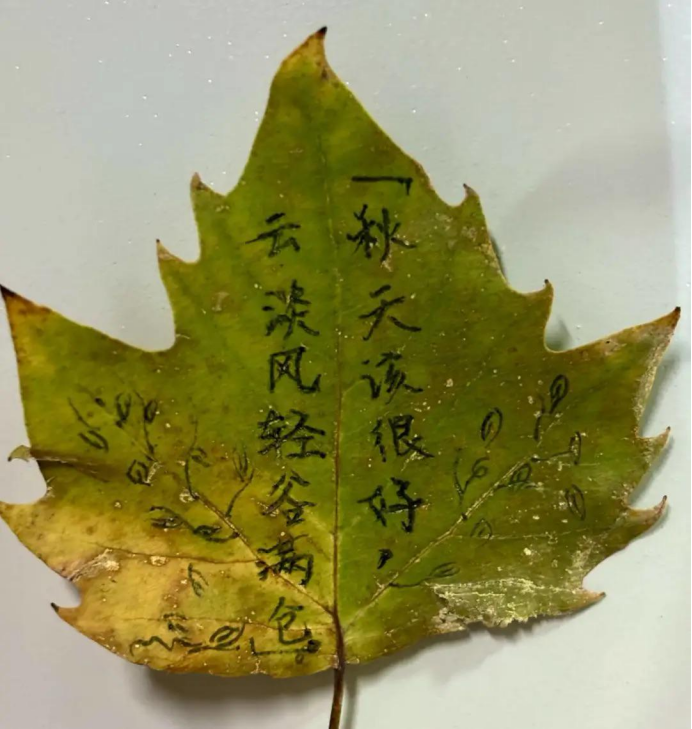 图片.png