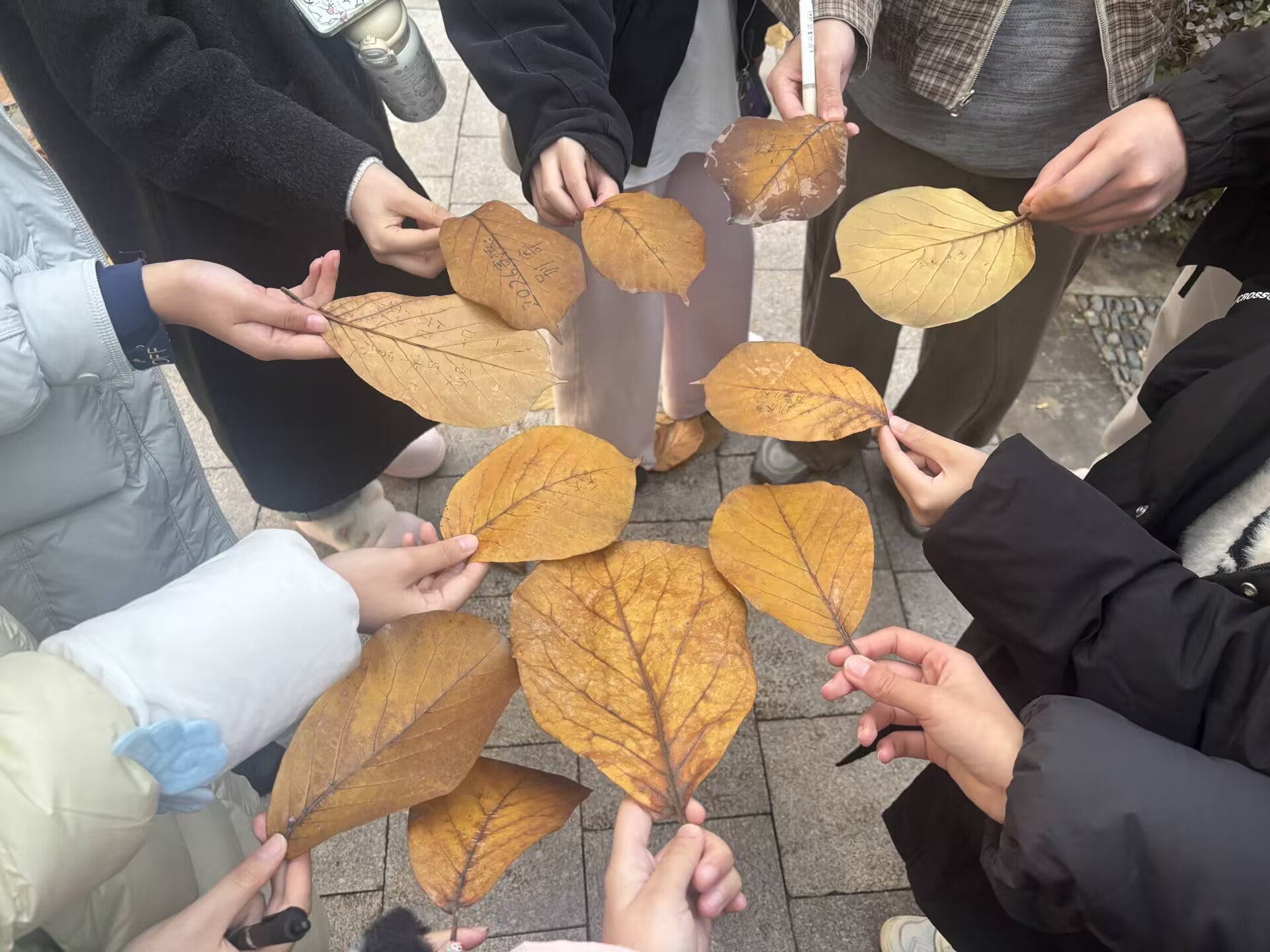 LCrq_1786073157136027427.jpg 12.jpg