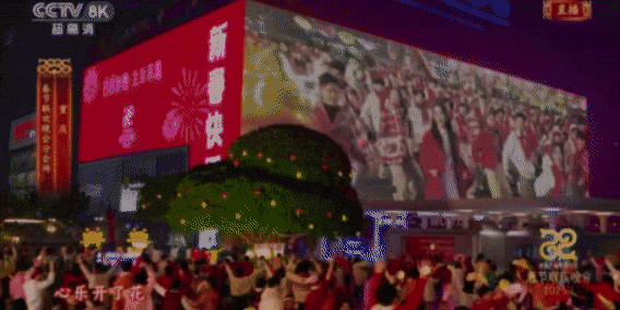 BFoh_1740132118800064462.gif