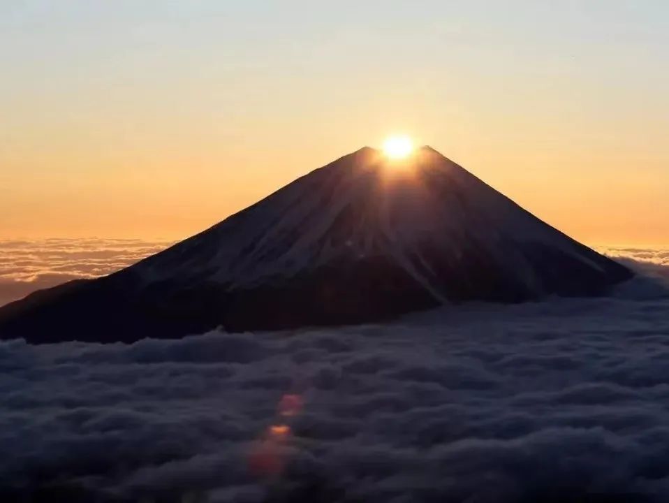 ogkJ_1672989386463078394.jpg 2.jpg