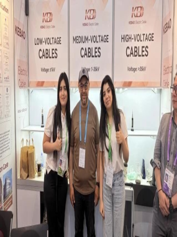 LdFE_1780279653793036127.jpg 13.jpg
